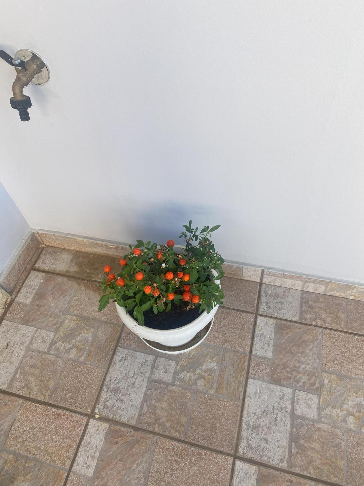 New Unique Apartment In Heraklion Exterior photo