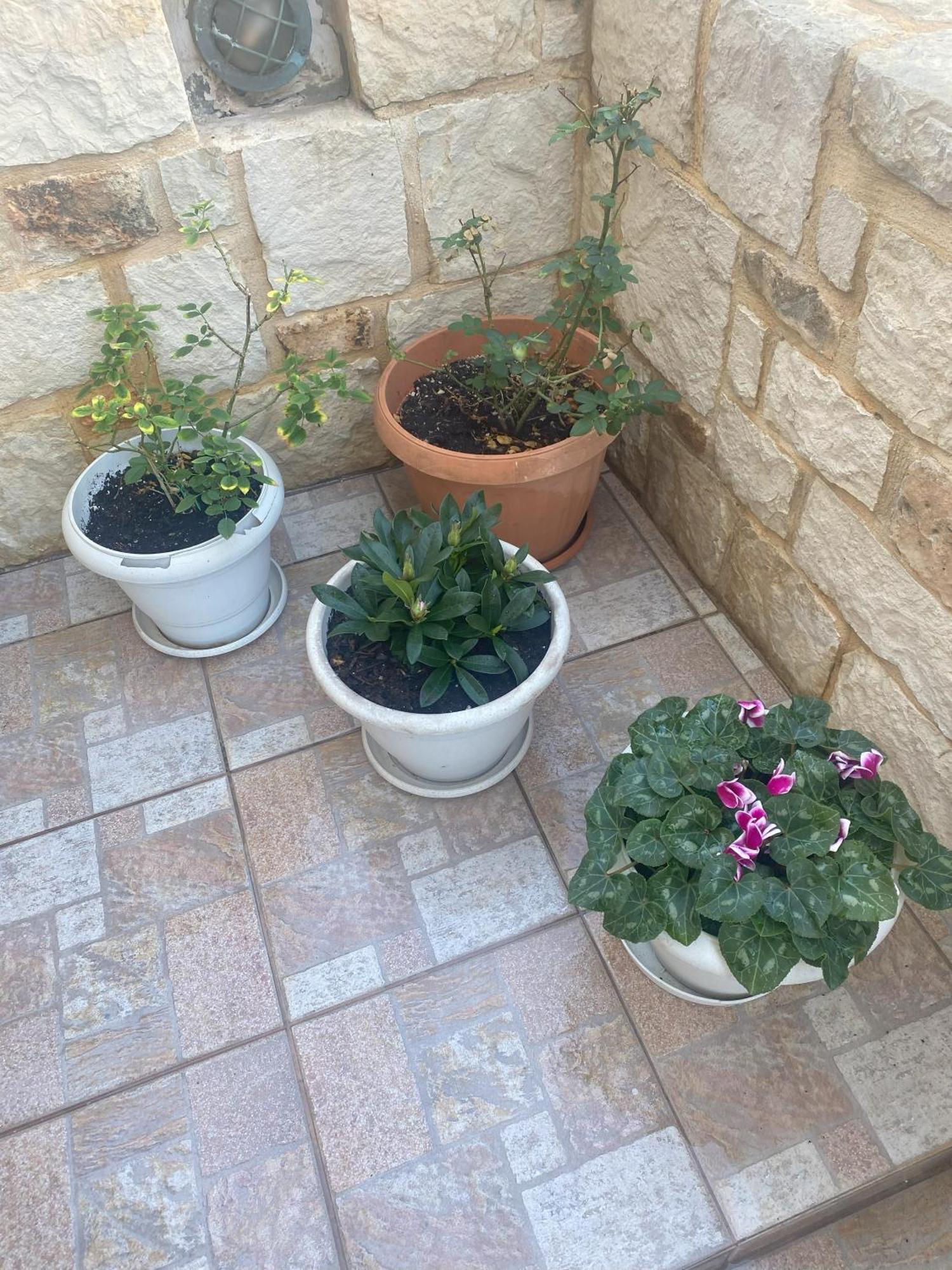 New Unique Apartment In Heraklion Exterior photo